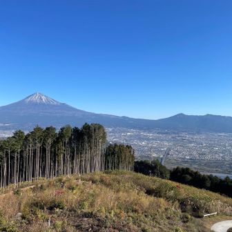 素晴らしいーー！