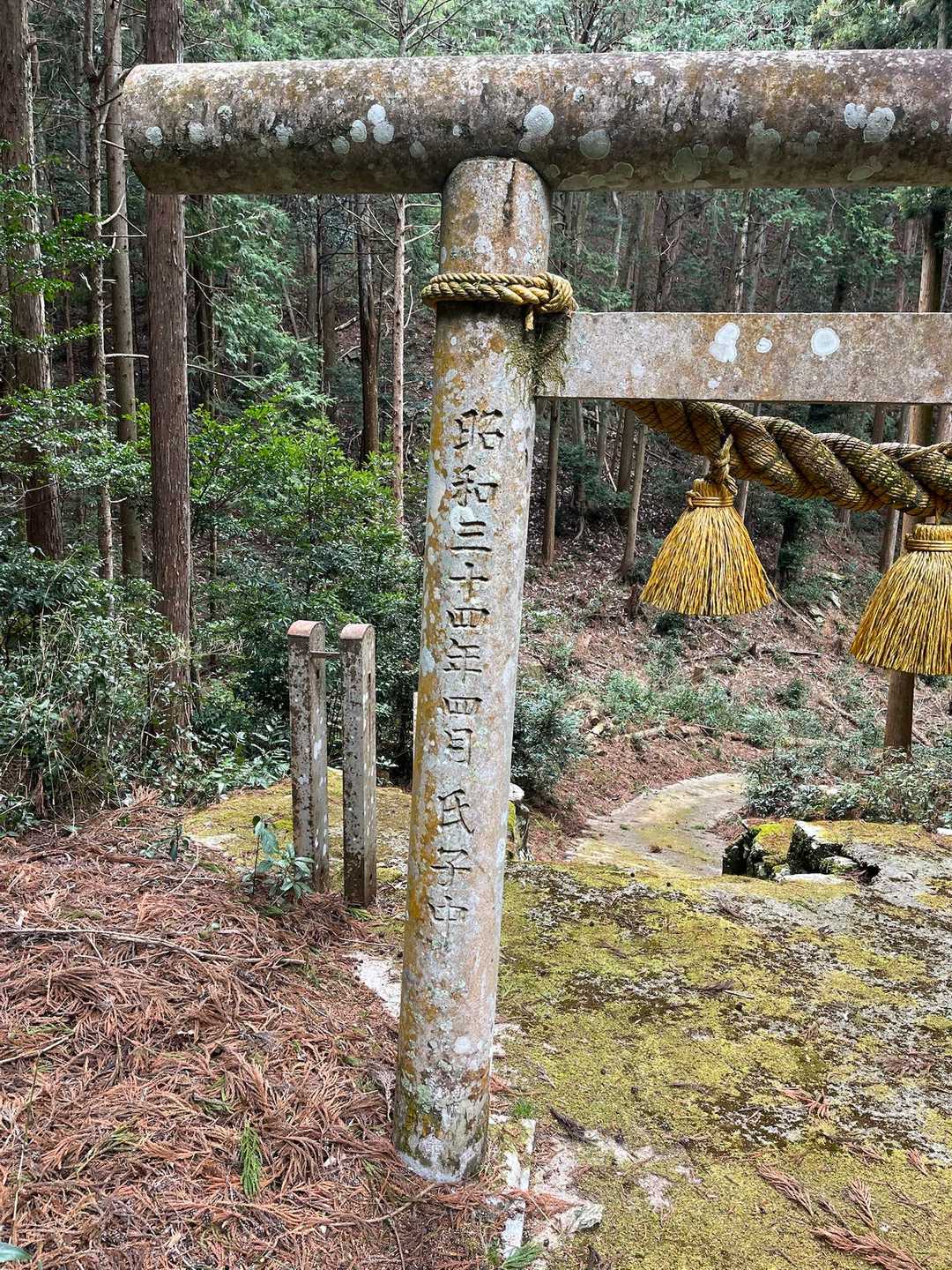 かっこいい。石に刻まれた文字が好きらしい。