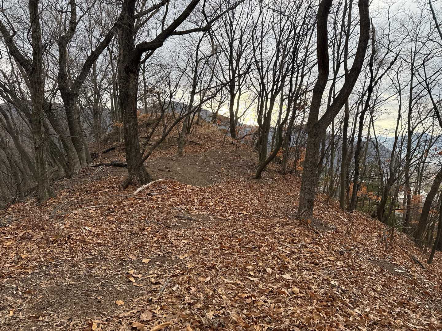 山頂⛰️山名板も三角点も何もありません😅
