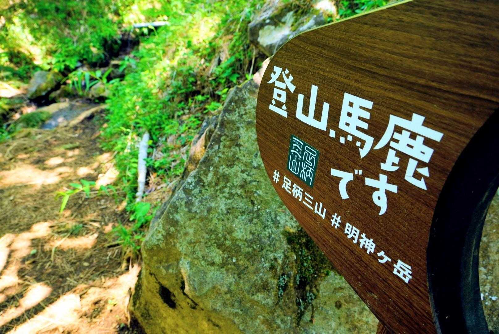 大雄山最乗寺発着｜明神ヶ岳周回コースの写真