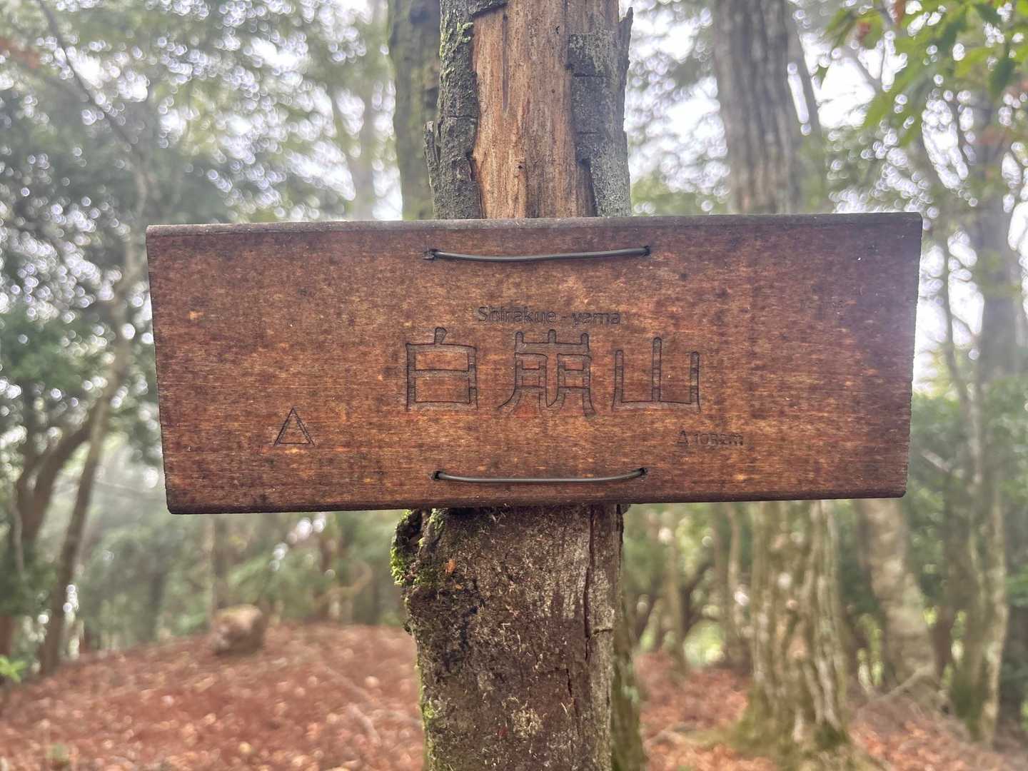 しらくえやま
YAMAPピーク無いですね😅