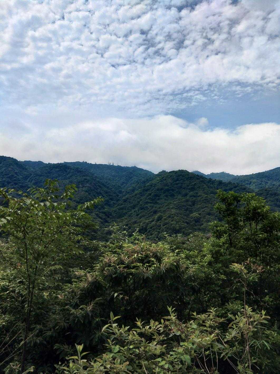 エクセル東バス停-石切道登山口-五助山登り口 往復コースの写真