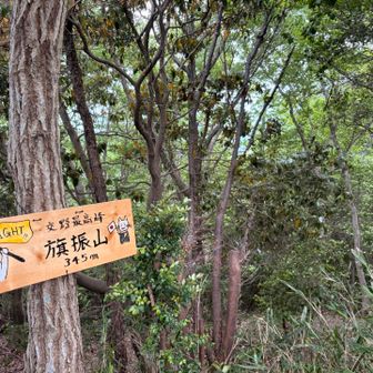 残念ながら眺望はなし