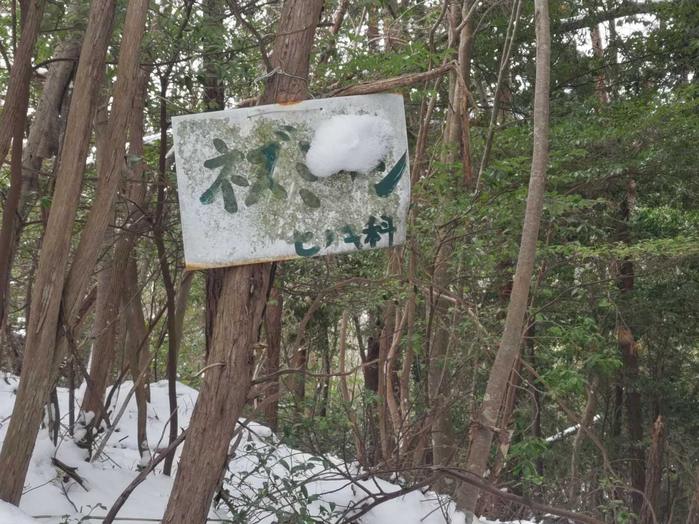 さて、なんと書いてあるでしょう