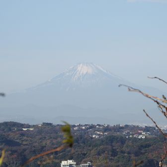 更にアップ‼︎