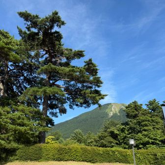 ＧＯＡＮＺＥＮＮＩ