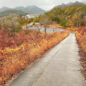 周回して、登山口に戻ってきた