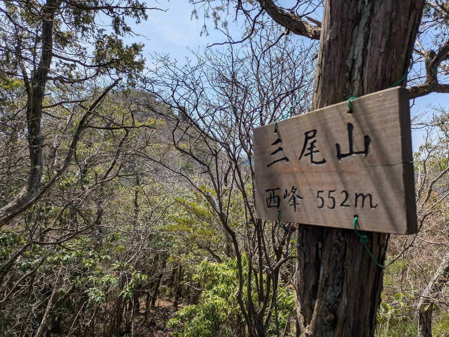 三尾山-鏡峠 周回コースの写真