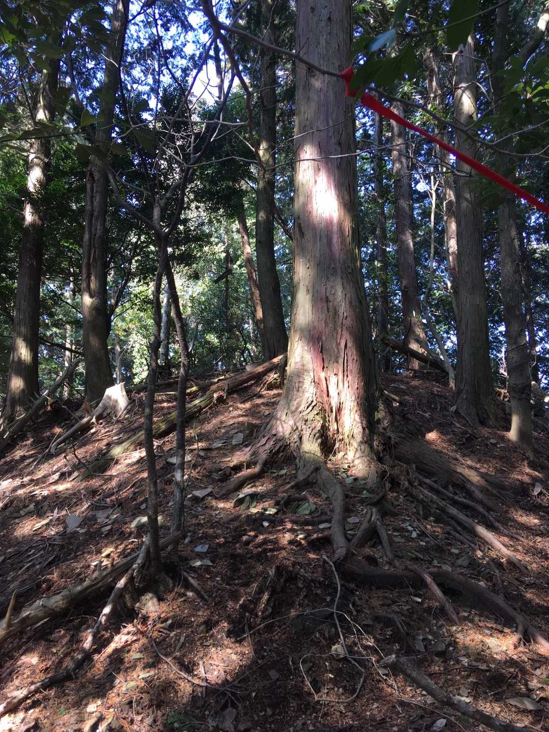 高倉山（福岡県朝倉市）の写真