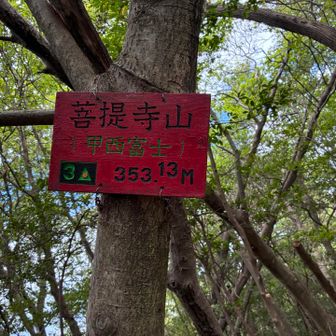 赤いやつ、この辺りはこのタイプ多い
