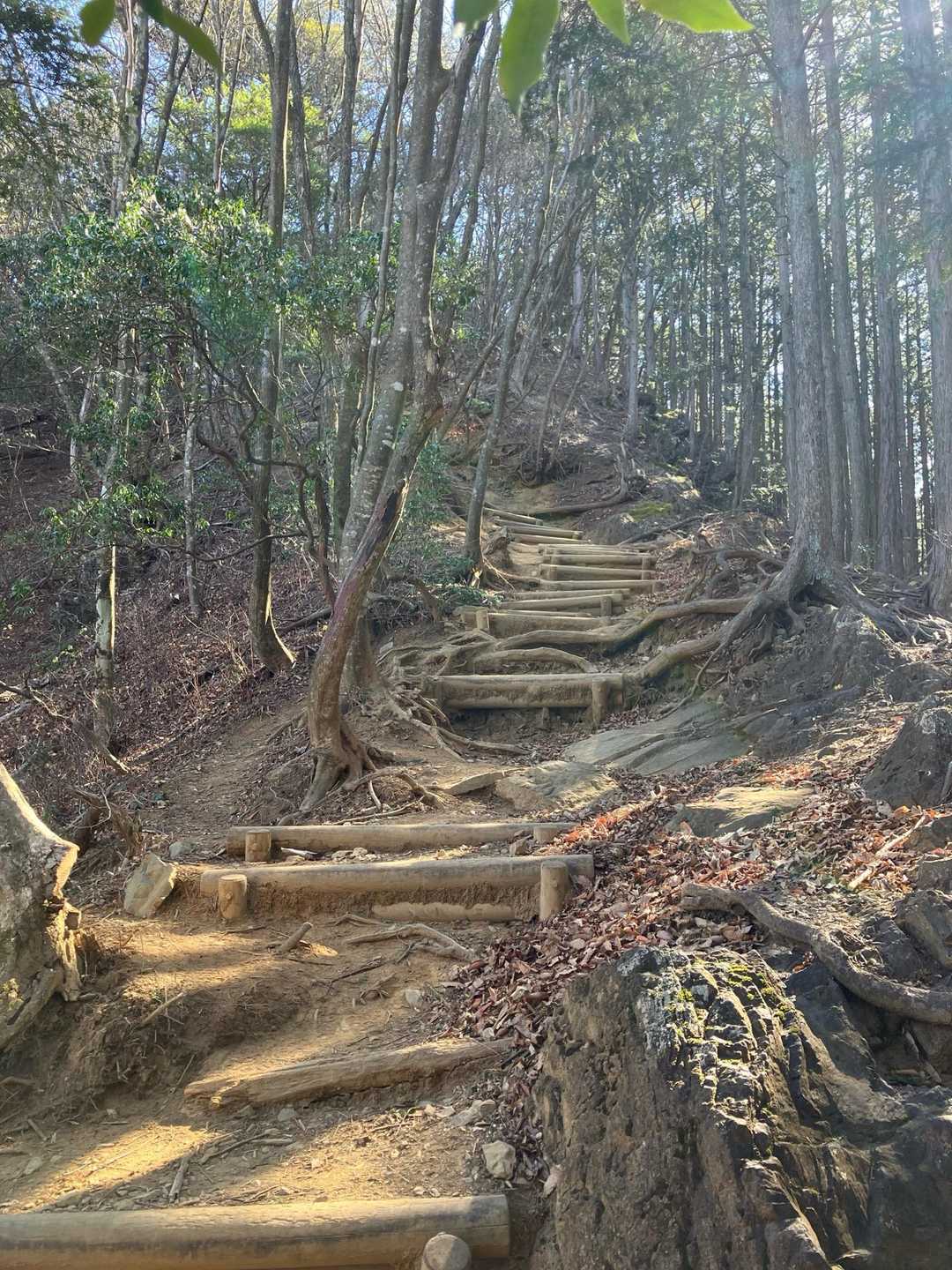 木の階段😅