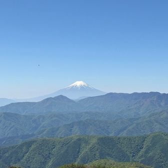 ずっと目立っている。