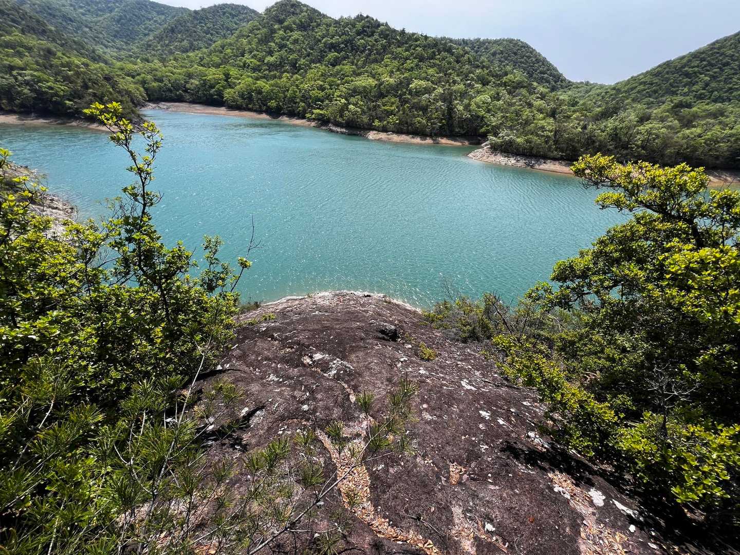 おお、本当に池に突っ込んで行く。傾斜は45〜60°くらい。一歩間違えば、転がって池にドボンかな？😅
引き返そう。