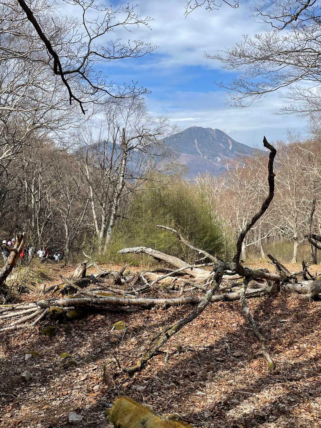 高山 周回コースの写真