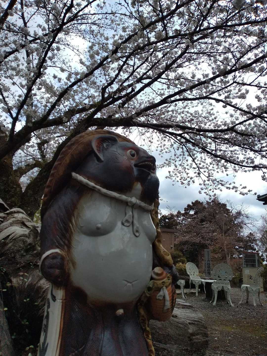 🍺桜で一杯か～

飲み過ぎるなよ！