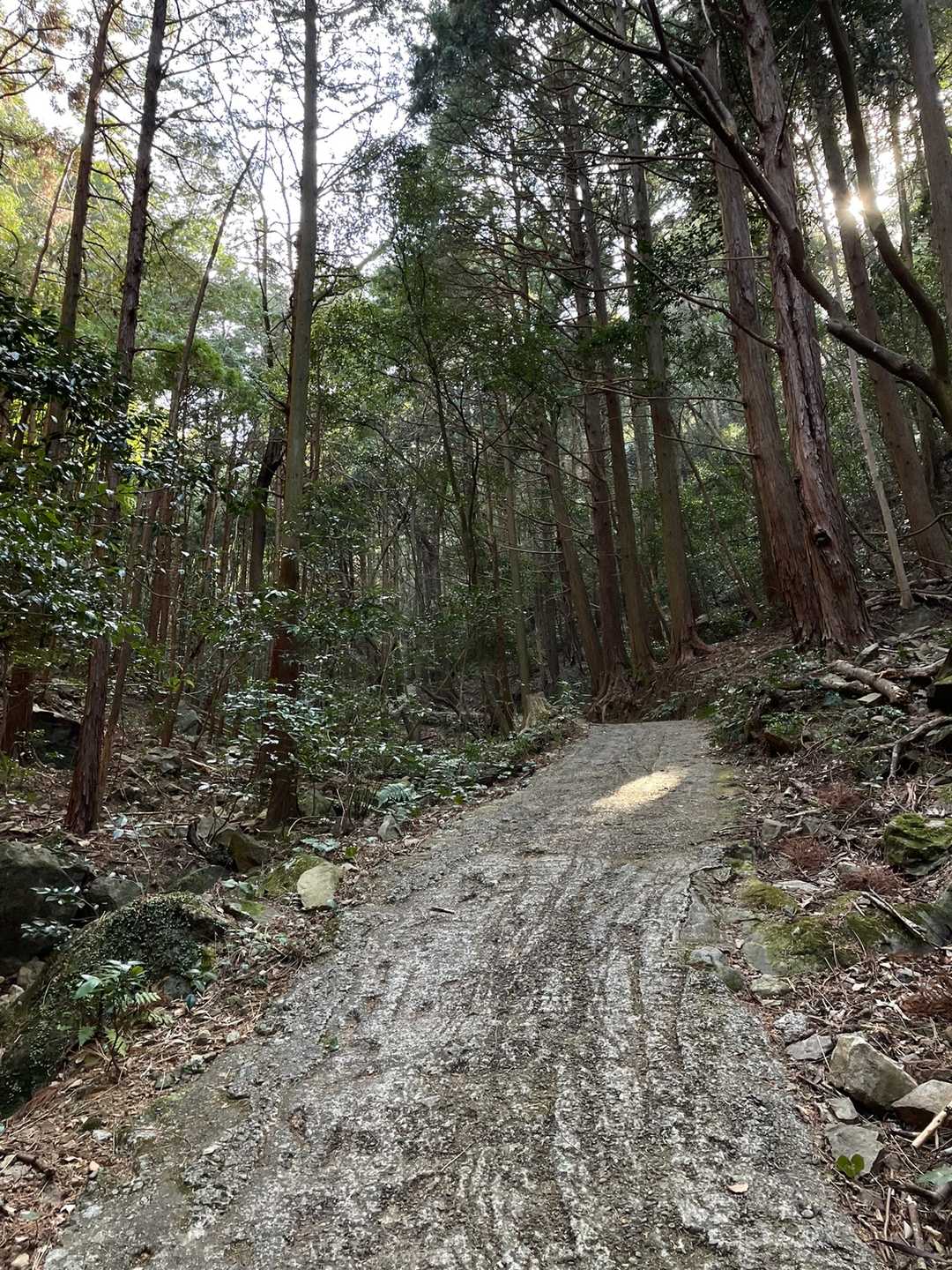 だんだん急に
