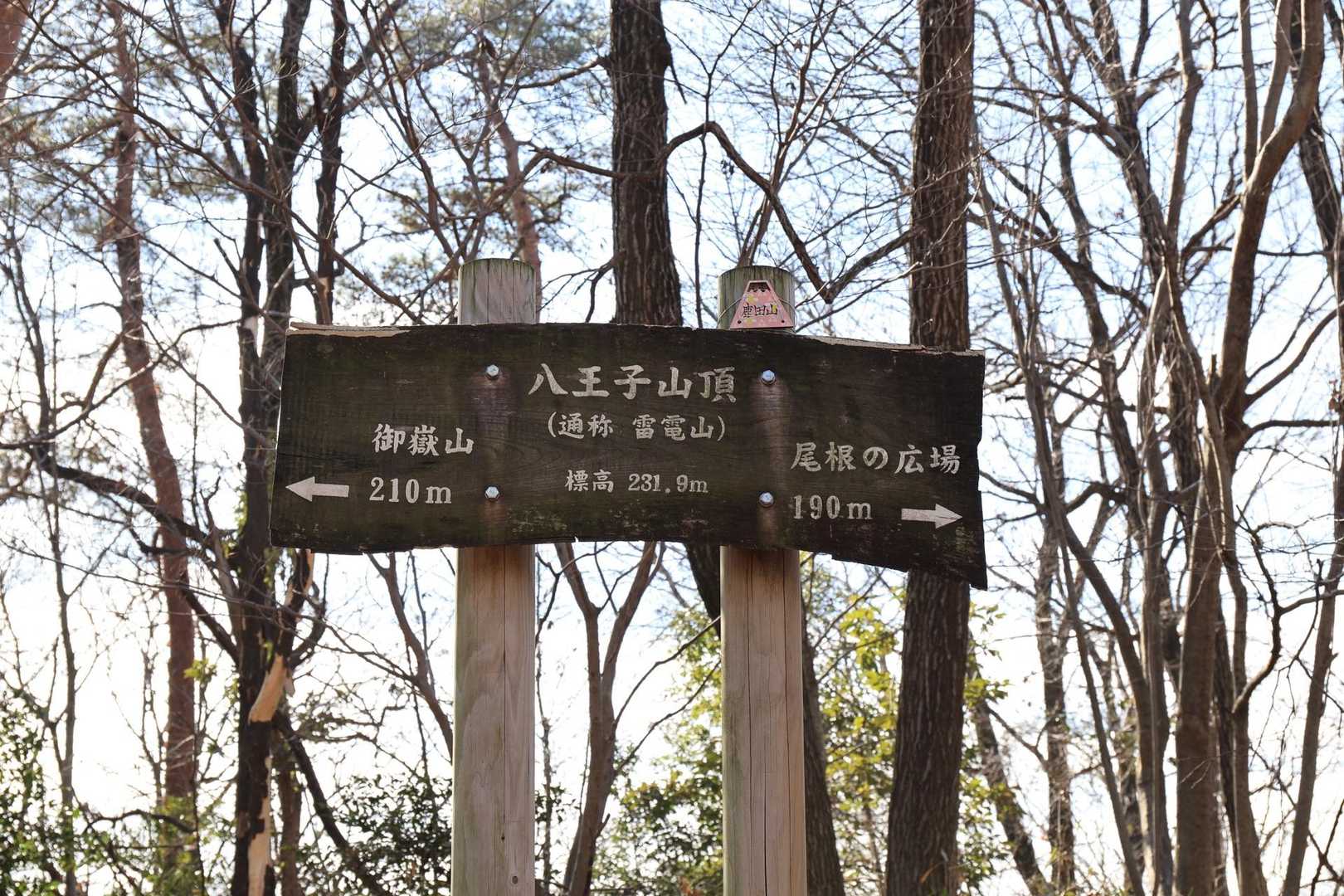 ここが鹿田山山頂の様です
この後も次々と山頂が現れます♪