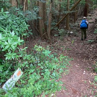 猫谷川新道登山口