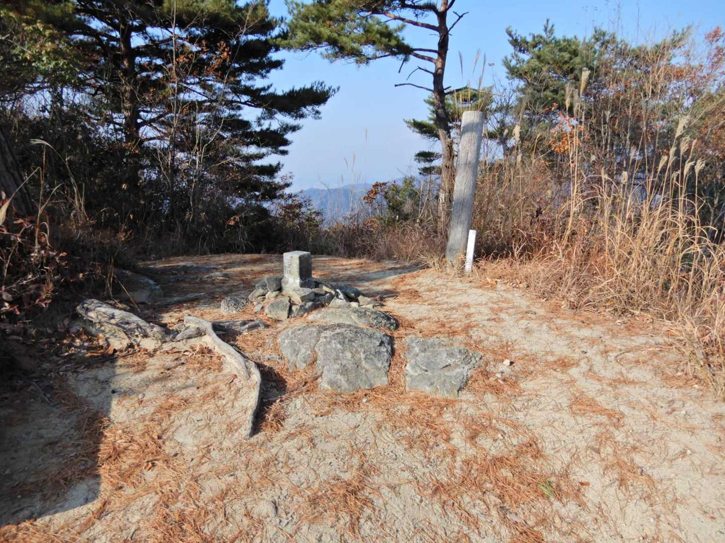 坂山（499.45ｍ）