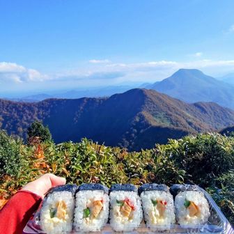 お昼はサラダ巻き