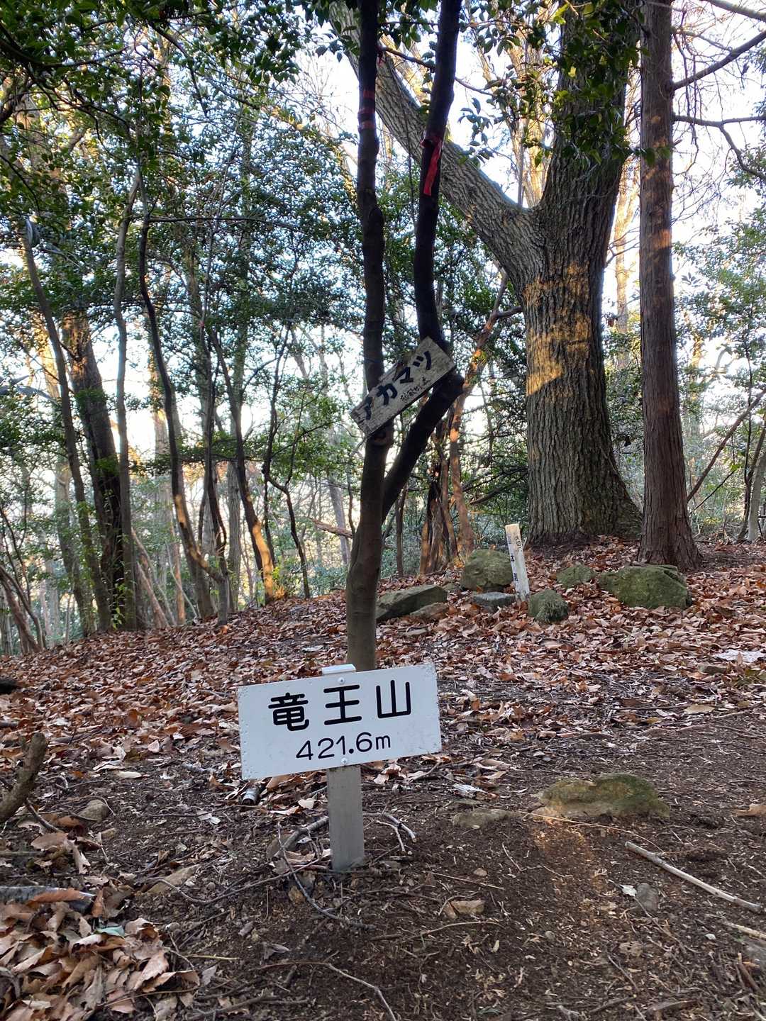 山頂に到着です。奥に三角点もあります。