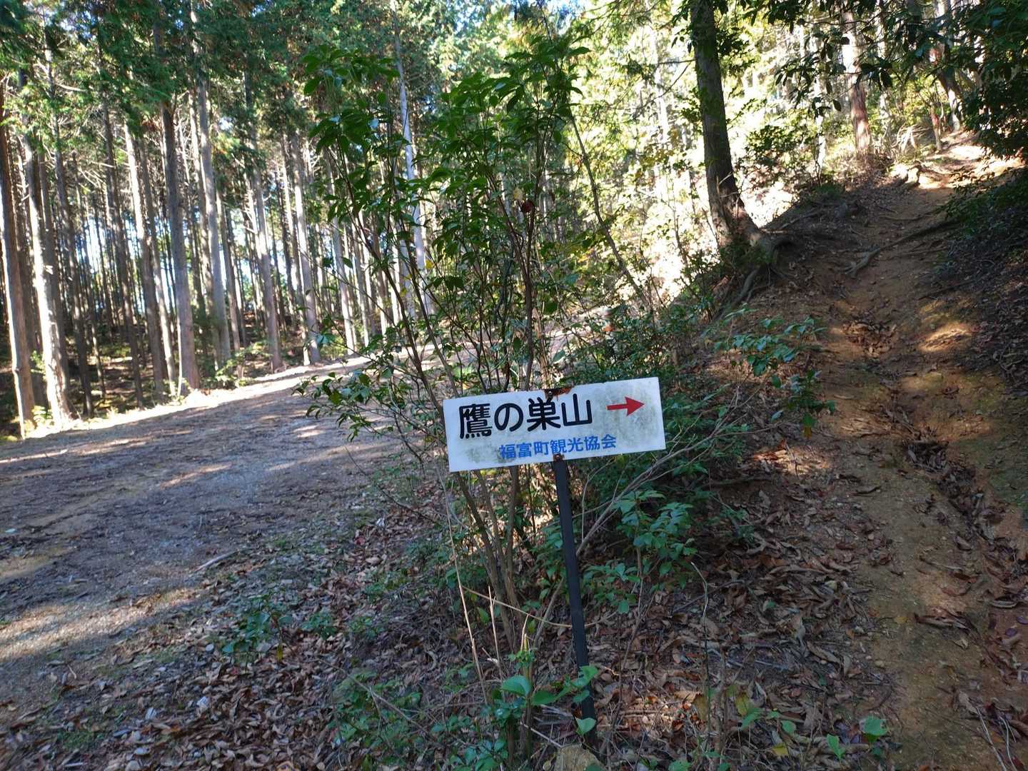 何とか登山口に合流