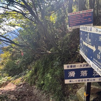 水沢峠　分岐
ここでお二人の方とこんにちは
鈴も鳴らさず　静かに登場したら
熊と間違えられました
