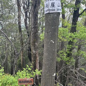 離れたところに両崖山💯栃木百名山の山頂標識