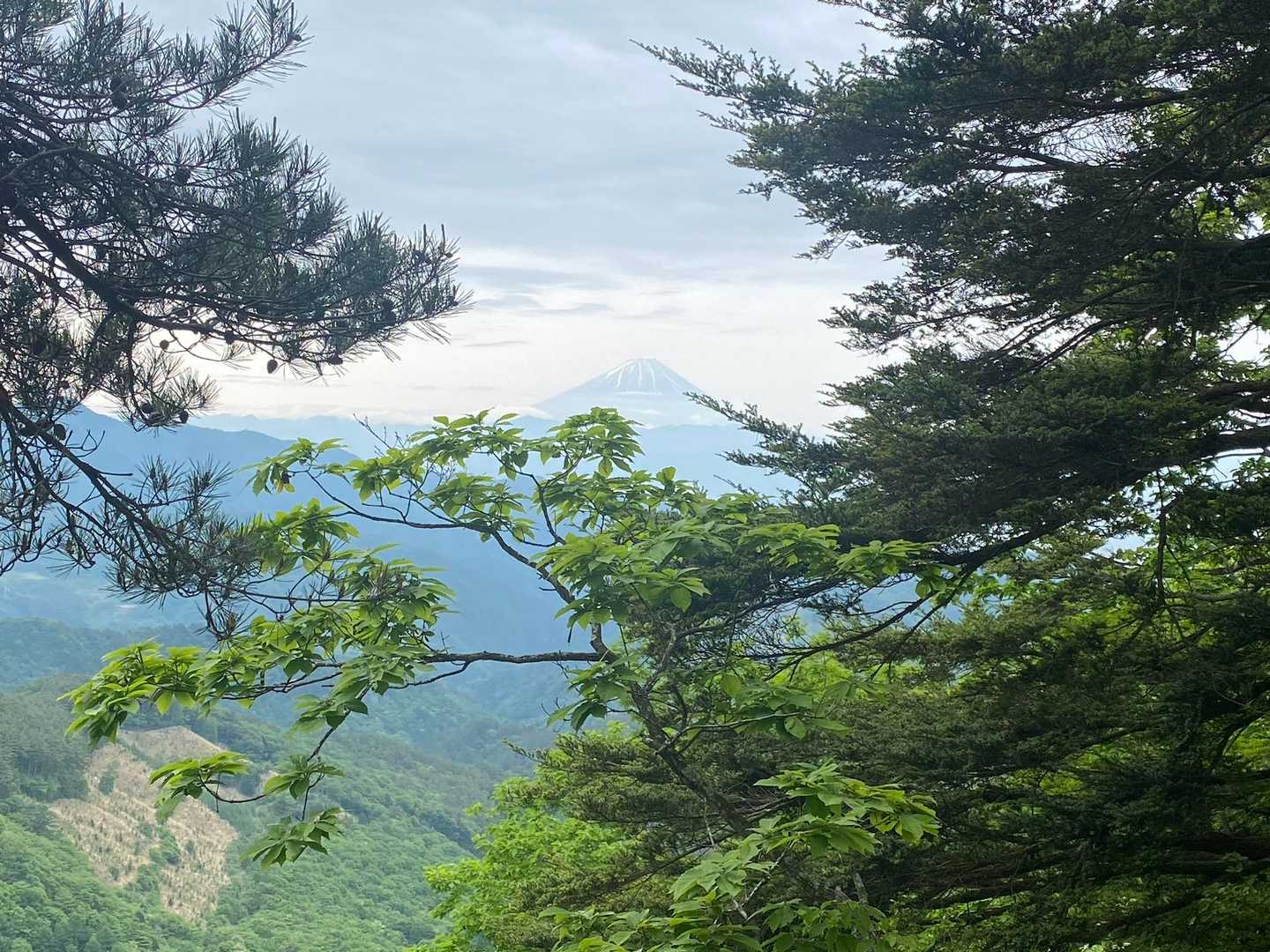 チラ富士🗻
今日は富士山ダメかと思ったけどバッチリ👌