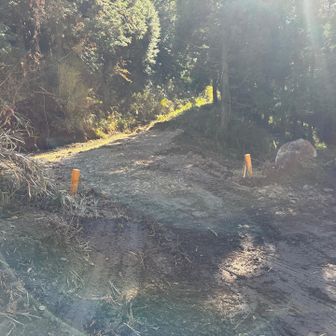 八町越に戻ってくる。林道を進む