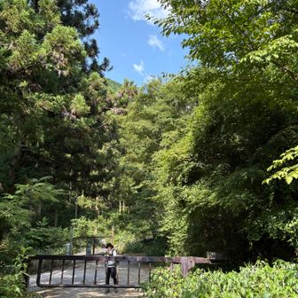 ゴーール‼️
お疲れ様でした♪
旦那さんは、金剛山歩きが楽しい様子です♪
夏休みには、蝶ヶ岳へ行きましょうか？
昨年は、台風並みの爆風のなか山頂にたどり着いたんですよねぇ
今年こそは、素敵な景色を見たいものです💪

皆さん最後まで見て読んでくださってありがとうございます♪

きっとまた、どこかでお逢い致しましょうﾈ❣️