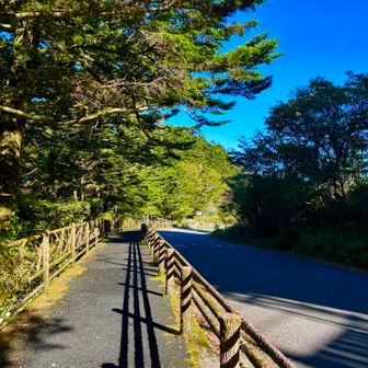 とりあえず歩道を進みます