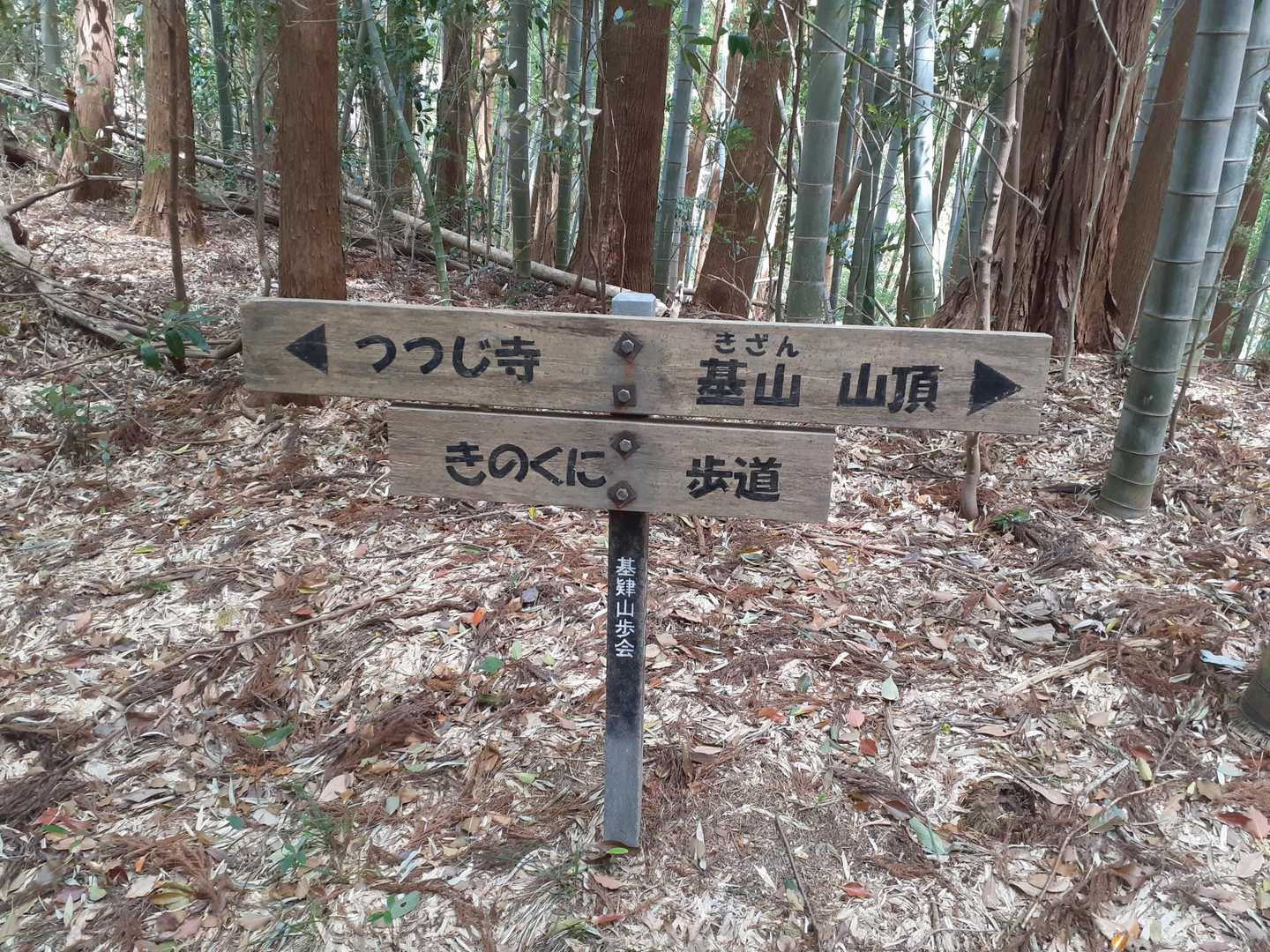 大興善寺-水上山-黒岩山 往復コースの写真