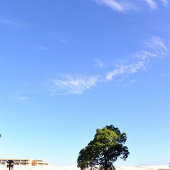青空を撮って登山開始
画↓には団体さんがおられます