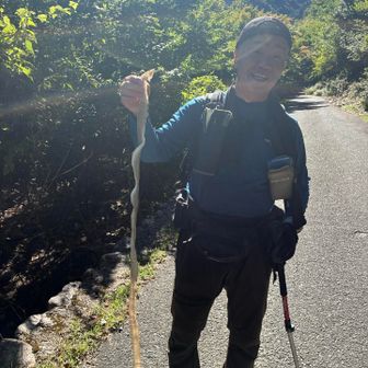 途中で1m位の完璧（頭の先から尻尾迄）の蛇🐍の抜け殻をよねっちさんが見つける😆