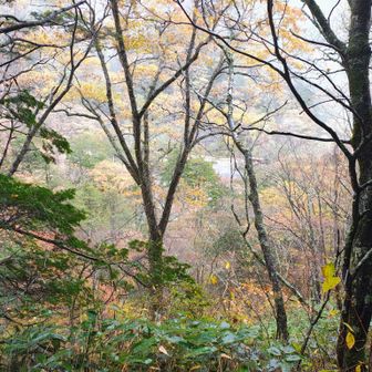 登山口が見えてきました