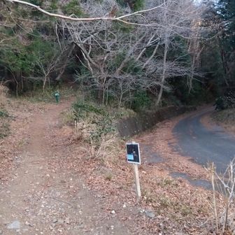 キャンプ場の？犬に吠えられながら吾国山を目指します