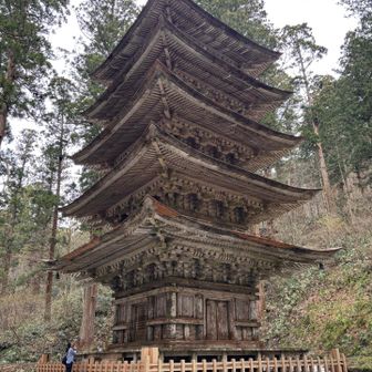 大きさが伝わる