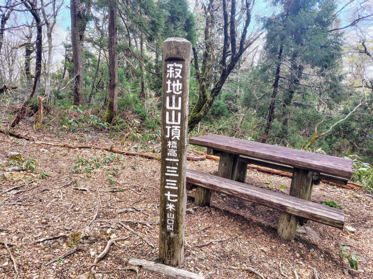 アップダウンはありますが、歩きやすい道を伝って寂地山の山頂に到着👏　山口県の最高峰です🧐
都道府県最高峰ですが、これで残りは越前三ノ峰のみとなりました😉