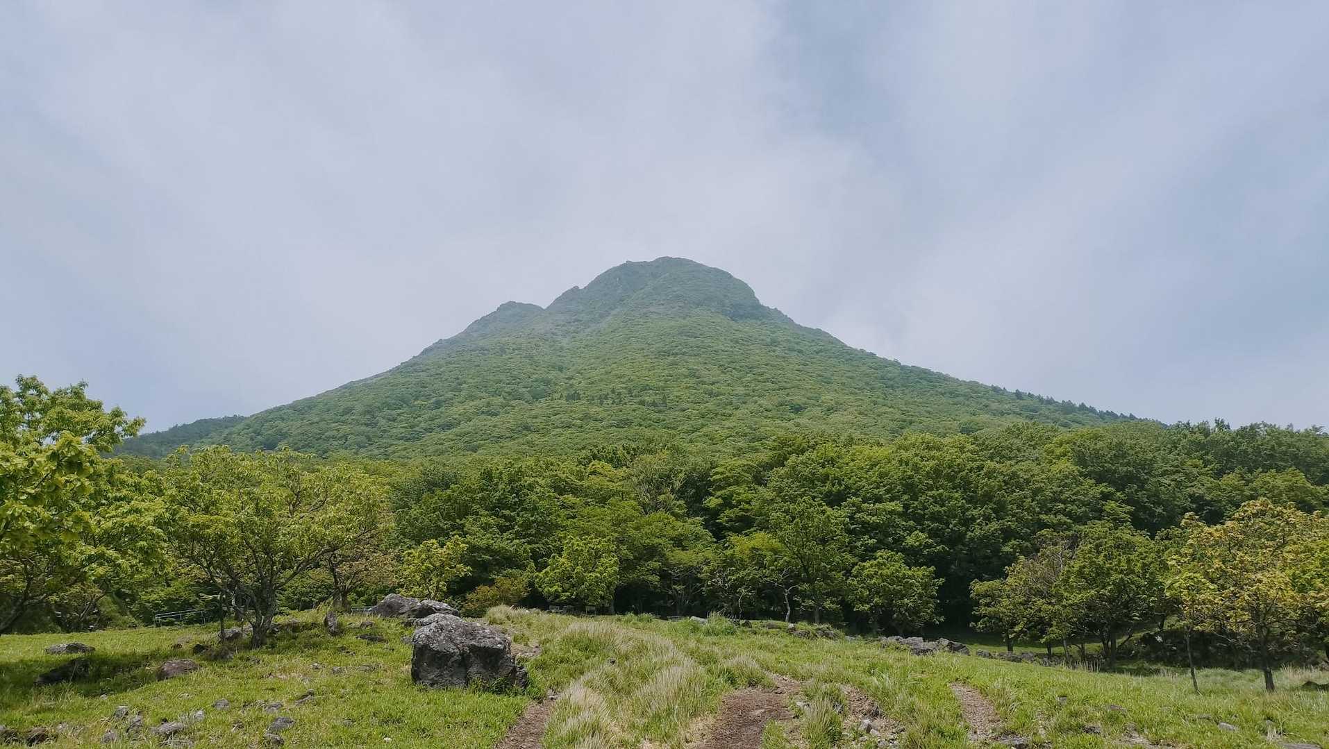 振り返ると、さっき登った由布岳。