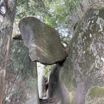 落ちないものなんですね✨