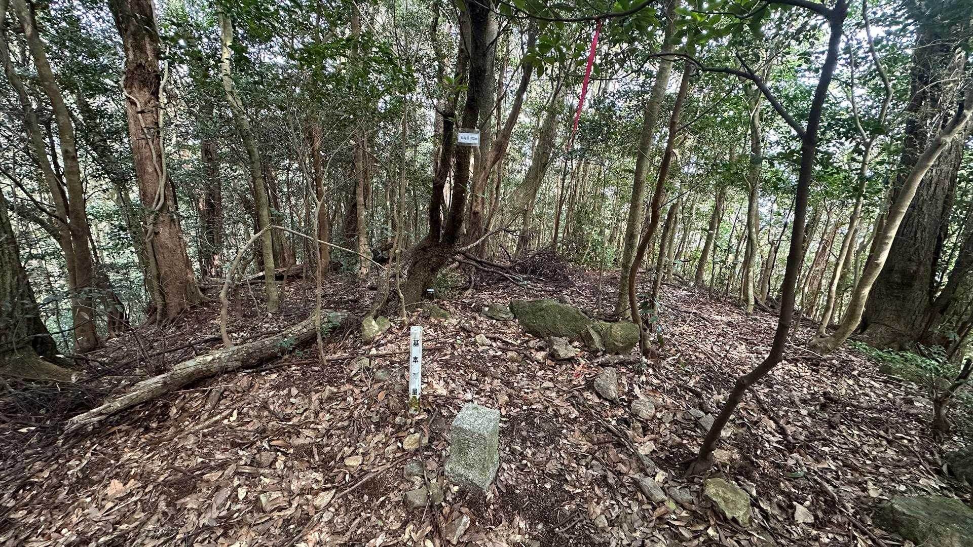 天狗岳522m