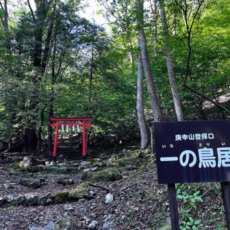 一の鳥居
そしてここから駐車場まで4kmの林道歩き🫠