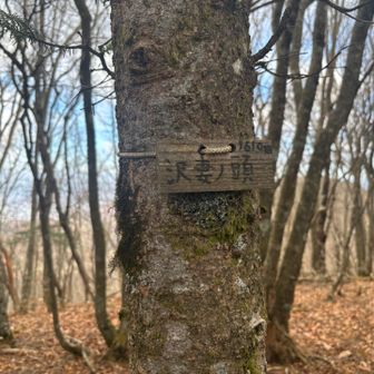 看板ありました(´∀｀)
沢妻の頭