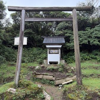 お世話になります⛩️