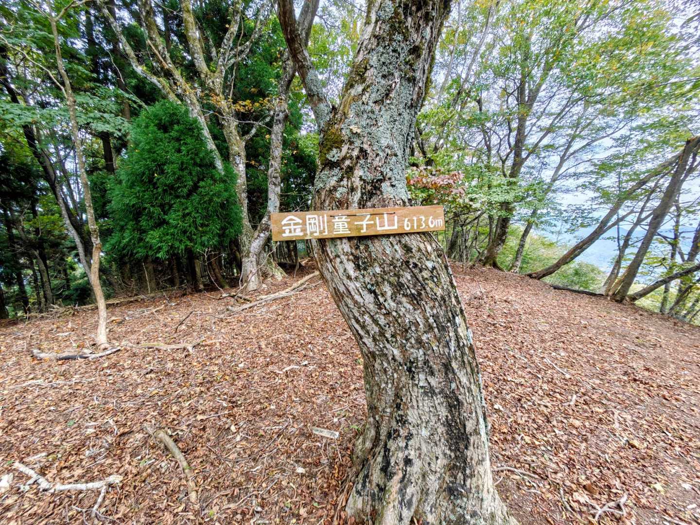 一応山頂看板も🪧