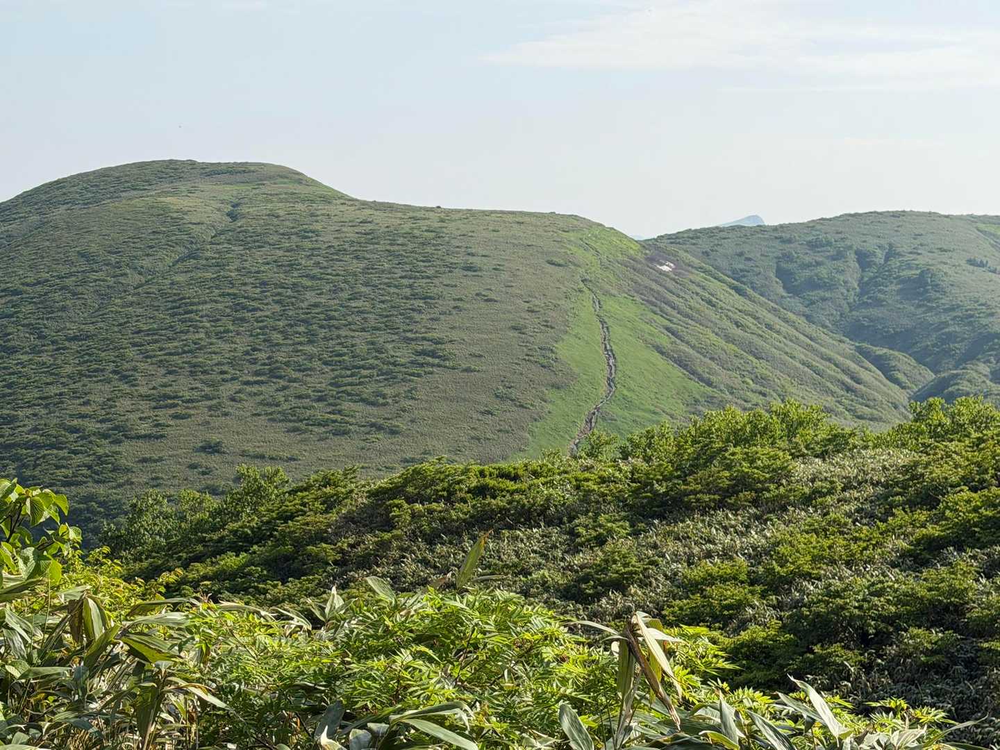 昨年紅葉🍁の頃に歩いた道かな。右奥の△は乳頭山？