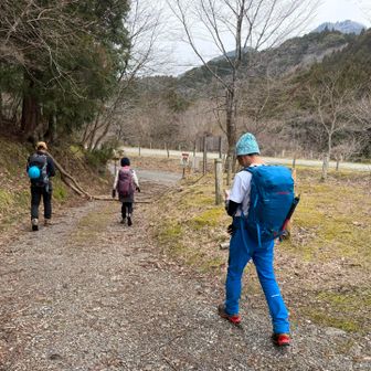さて、ここからまた林道歩きね