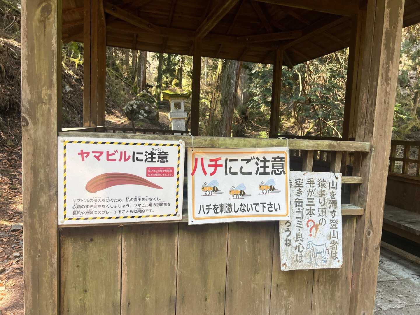 ヤマビルが本格的に活動開始する前にここには来たかった。
今日はヤマビルは見かけなかったが、いかにもヤマビルが好みそうな場所はたくさんあった😱