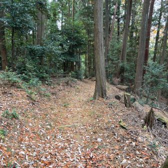 楽しみが無いまま下山